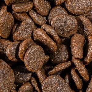 Bravery Alimento Seco Natural Libre de Granos para Perro Adulto Raza Mediana/Grande Receta Salmón, 12 kg