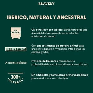 Bravery Alimento Seco Natural Libre de Granos para Perro Adulto Raza Mediana/Grande Receta Salmón, 12 kg