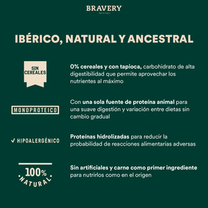 Bravery Alimento Natural Libre de Granos para Perro Adulto Raza Mediana/ Grande Receta Arenque, 4 kg