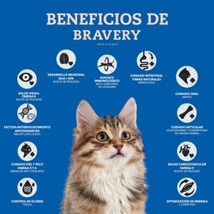 Bravery Alimento Seco Natural Libre de Granos para Gato Adulto Receta Salmón, 7 kg
