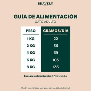 Bravery Alimento Seco Natural Libre de Granos para Gato Adulto Receta Salmón, 7 kg