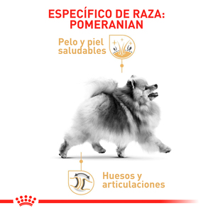 Royal Canin Alimento Húmedo para Perro Adulto Raza Pomerania, 85 g