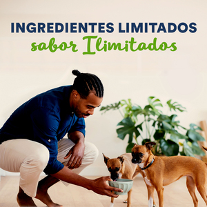 Natural Balance Alimento Húmedo Vegetariano Ingredientes Limitados para Perro Adulto, 368 g