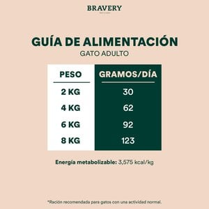 Bravery Alimento Seco Natural Libre de Granos para Gato Esterilizado Receta Salmón, 2 kg