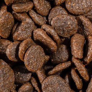 Bravery Alimento Seco Natural Libre de Granos para Gato Esterilizado Receta Salmón, 7 kg
