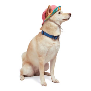 Youly Cooling Sombrero Refrescante con Protección Solar Doble Vista para Perro, Chico/Mediano
