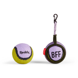 Reddy BFF Kit de 2 Pelotas de Tenis y Portapelotas para Perro, Lila