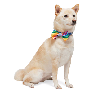 Youly Colección Pride Moño para Collar con Colores del Arcoíris para Perro, Unitalla