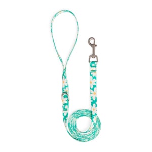 Youly Correa Azul con Estampado de Margaritas de 1.8m para Perro, Chico Youly Correa Azul con Estampado de Margaritas de 1.8m para Perro, Chico