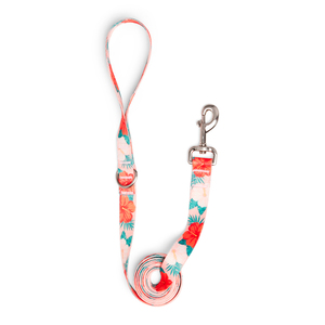 Youly Correa con Estampado Hawaino para Perro Raza Mediana / Grande, 1.8 m Youly Correa con Estampado Hawaino para Perro Raza Mediana / Grande, 1.8 m