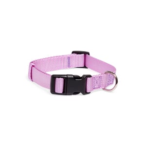 Youly Collar de Nylon Morado para Perro, Mediano Youly Collar de Nylon Morado para Perro, Mediano