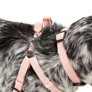 Youly Arnés de Nylon Rosa Ajuste Americano para Perro, Mediano/Grande