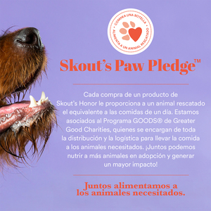 Skout's Honor Dental Wipes Toallitas Limpiadoras de Dientes para Perro y Gato, 50 Toallitas