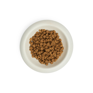 EveryYay Tazón Redondo de Cerámica Luxe Color Blanco para Gato, 0.8 Tazas