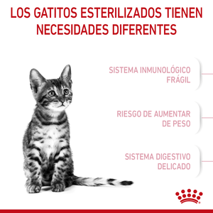 Royal Canin Alimento Seco para Gatito Esterilizado de 6 a 12 Meses de Edad, 1.14 kg
