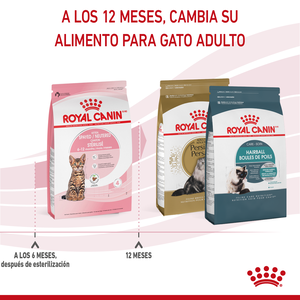 Royal Canin Alimento Seco para Gatito Esterilizado de 6 a 12 Meses de Edad, 1.14 kg