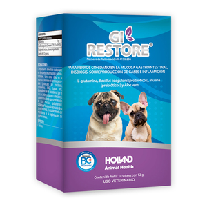 Holland GI Restore Complemento para Salud Gastrointestinal para Perro, 1 Caja