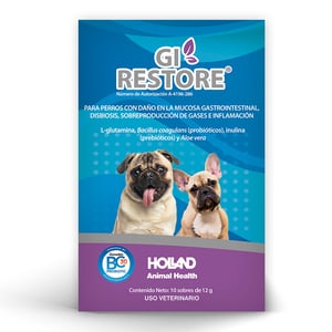 Holland GI Restore Complemento para Salud Gastrointestinal para Perro, 1 Caja Holland GI Restore Complemento para Salud Gastrointestinal para Perro, 1 Caja