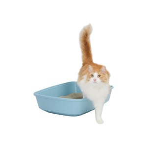 Sophresh Litter Box Arenero Tipo Bandeja con Microban Color Azul para Gato, X-Grande Sophresh Litter Box Arenero Tipo Bandeja con Microban Color Azul para Gato, X-Grande