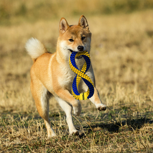 Tonka Tug Trenza de Nylon con Forma de Infinito para Perro, Mediano/ Grande