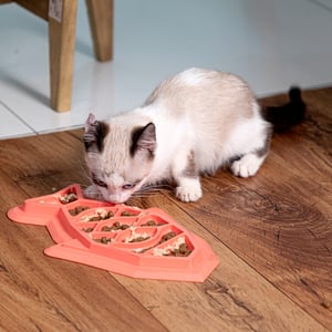 Catstages Slow Feeder Tazón Plano para Alimentación Lenta Diseño Pez para Gato, Unitalla Catstages Slow Feeder Tazón Plano para Alimentación Lenta Diseño Pez para Gato, Unitalla