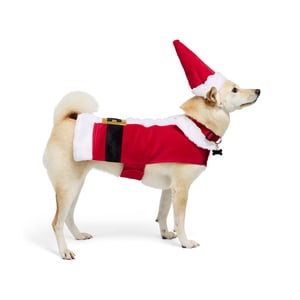 Merry Makings Navidad Disfraz de Santa Claus para Perro, X-Chico