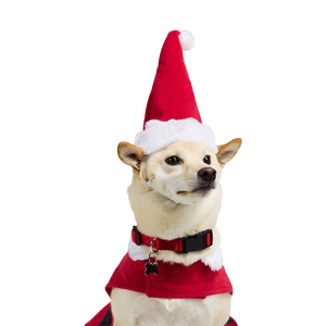 Merry Makings Navidad Disfraz de Santa Claus para Perro, X-Chico
