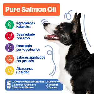 Dogelthy Aceite Puro de Salmón para Perro y Gato, 450 ml