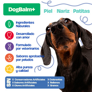Dogelthy Dog Balm Bálsamo Hidratante para Piel Patitas y Nariz para Perro, 50 g