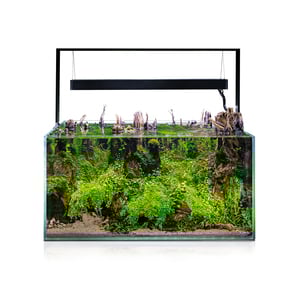 Aquael Acuario Ultrascape 90 Forest sin Mueble para Peces