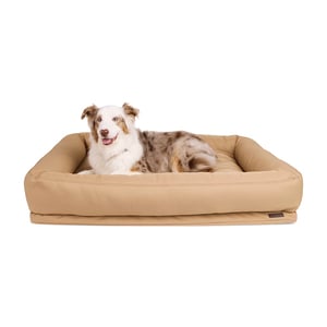 Reddy Cama Resistente con Bordes Elevados Color Café para Perro, X-Grande Reddy Cama Resistente con Bordes Elevados Color Café para Perro, X-Grande