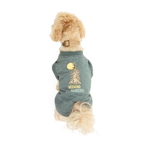 Reddy Camiseta Viajero de Fin de Semana Color Verde para Perro, Chico Reddy Camiseta Viajero de Fin de Semana Color Verde para Perro, Chico