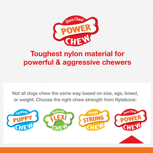 Nylabone Power Chew Juguete Masticable Diseño Hueso Sabor Carne y Tocino para Perro, Grande