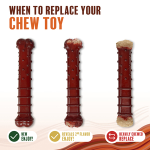Nylabone Power Chew Juguete Masticable Diseño Hueso Sabor Carne y Tocino para Perro, Grande