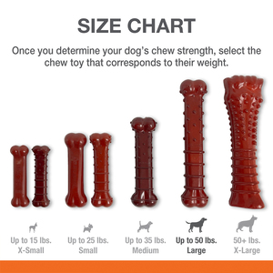 Nylabone Power Chew Juguete Masticable Diseño Hueso Sabor Carne y Tocino para Perro, Grande