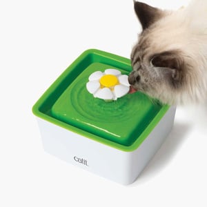 Catit Mini Flower Fountain Fuente Mini para Gato Diseño Flor, 1.5 L Catit Mini Flower Fountain Fuente Mini para Gato Diseño Flor, 1.5 L