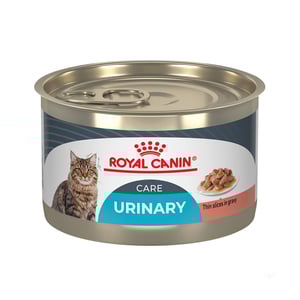 Royal Canin Alimento Húmedo Cuidado Urinario para Gato Adulto, 145 g Royal Canin Alimento Húmedo Cuidado Urinario para Gato Adulto, 145 g