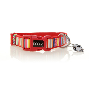 Doog Colección Scooby Collar de Neopreno Secado Rápido con Broche para Perro, Mediano Doog Colección Scooby Collar de Neopreno Secado Rápido con Broche para Perro, Mediano