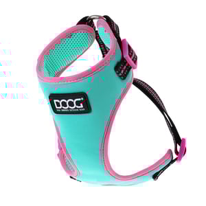 Doog Neon Colección Rin Tin Tin Arnés de Neoflex con Ajuste Romano para Perro, X-Chico Doog Neon Colección Rin Tin Tin Arnés de Neoflex con Ajuste Romano para Perro, X-Chico