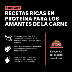 Go! Solutions Carnivore Alimento Natural Libre de Granos Receta Salmón y Bacalao para Gato Todas las Edades, 7.2 kg