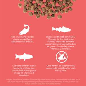 Go! Solutions Carnivore Alimento Natural Libre de Granos Receta Salmón y Bacalao para Gato Todas las Edades, 7.2 kg
