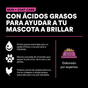 Go! Solutions Skin + Coat Alimento Natural Cuidado Piel y Pelo Receta Pollo para Gato Todas las Edades, 7.2 kg