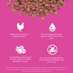 Go! Solutions Skin + Coat Alimento Natural Cuidado Piel y Pelo Receta Pollo para Gato Todas las Edades, 7.2 kg