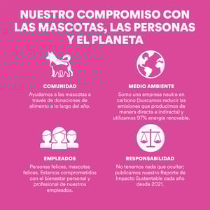Go! Solutions Skin + Coat Alimento Natural Cuidado Piel y Pelo Receta Pollo para Gato Todas las Edades, 7.2 kg