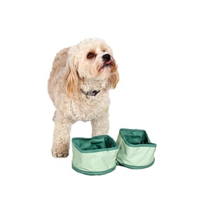 Kenwood & Co Tazón Doble Colapsable Verde para Perro, 2 Tazas Kenwood & Co Tazón Doble Colapsable Verde para Perro, 2 Tazas