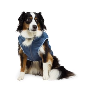 Reddy Chamarra Puffer Azul, Chico Reddy Chamarra Puffer Azul, Chico