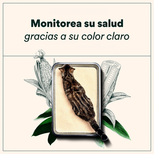 Sustainably Yours Arena Aglutinante de Maíz y Yuca Gránulo Pequeño Sin Fragancia para Gato, 5.9 kg