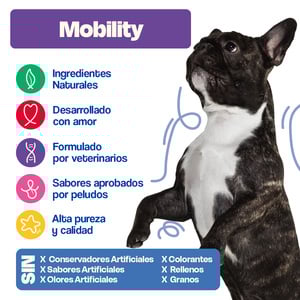 Dogelthy Mobility Suplemento en Polvo para Cuidado Articular para Perro, 270 g