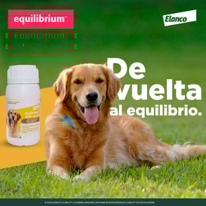 Equilibrium Ages Suplemento Vitamínico con Omegas 3 y 6 para Piel y Pelo para Perro, 60 Tabletas