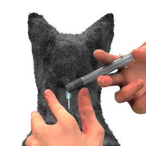 NexGard Combo Pipeta Antiparasitaria Interna y Externa para Gato, 2.5 a 7.5 kg